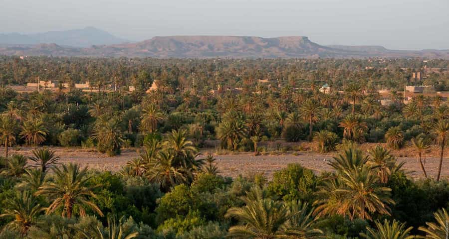 From Marrakesh: 4-Day Private Atlas Mountains & Desert Tour - Day three: Rissani, fossils, and the return toward Ouarzazate