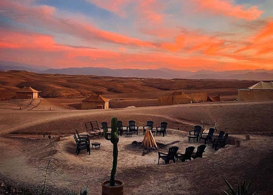 From Marrakesh Agafay Desert Dinner & Sunset, and Camel Ride - How the $32 price measures up