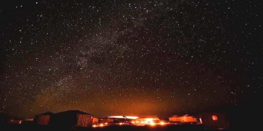 From Marrakesh Agafay Desert Dinner & Sunset, and Camel Ride - Who will enjoy this Agafay evening most