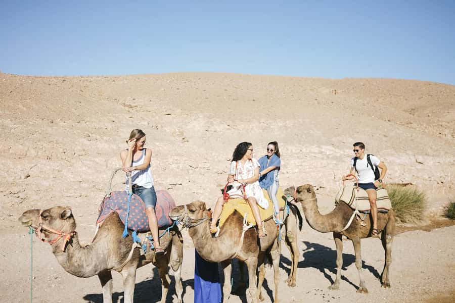 From Marrakesh: Agafay Desert Quad Biking, Camels & Dinner - How much value do you get for $115?