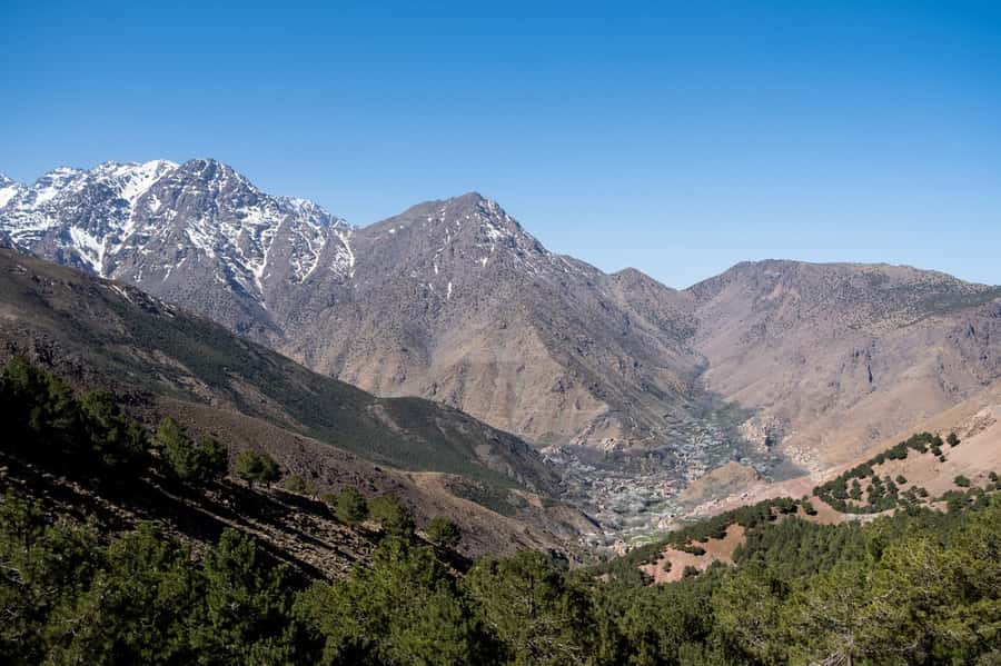 From Marrakesh: Atlas Mountains Talamrout Summit Day Hike - The 2,600-meter summit of Adrar Talamrout