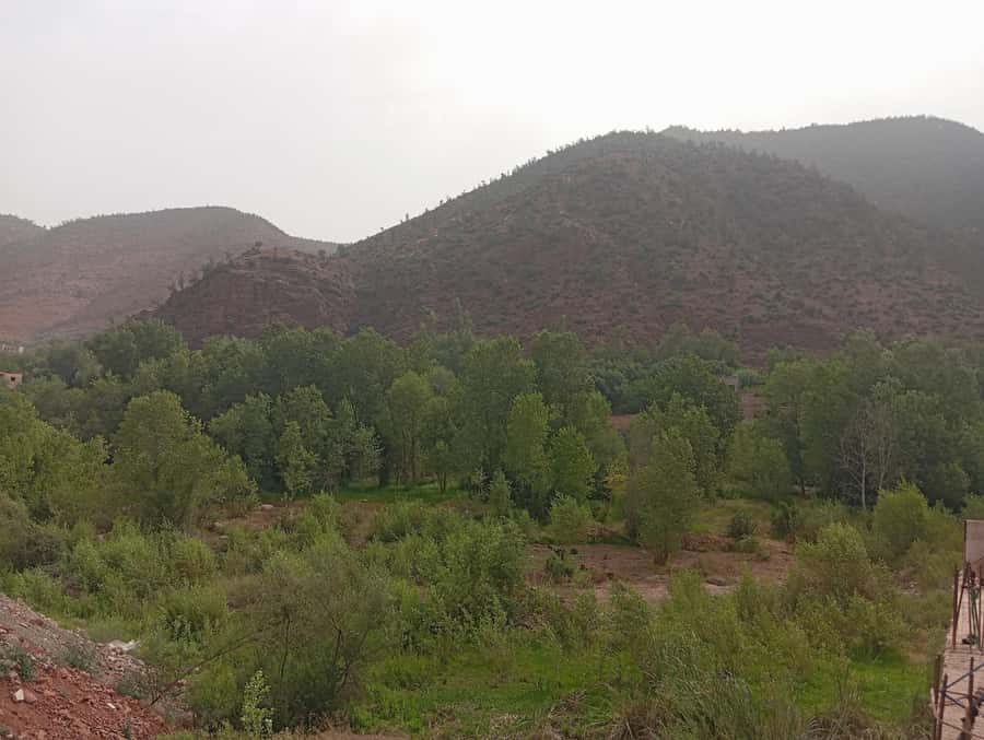 From Marrakesh: Day Tour to Ourika Valley & Atlas Mountains - Is $6 a good value?