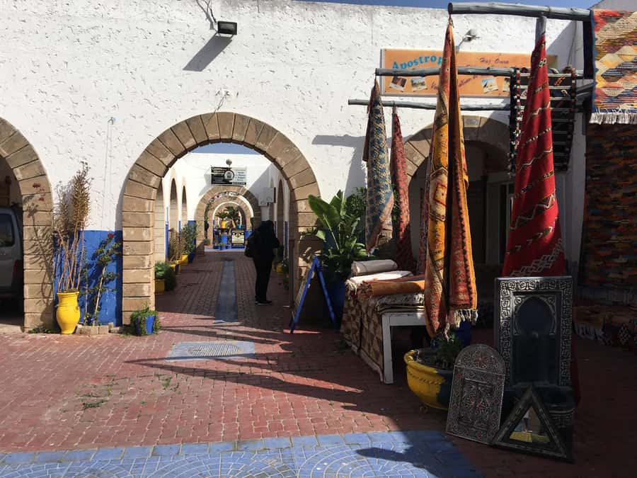 From Marrakesh: Essaouira Day Trip - The argan oil cooperative visit