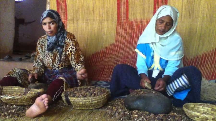 From Marrakesh: Essaouira Day Trip - Walking the harbor and Skala du Port