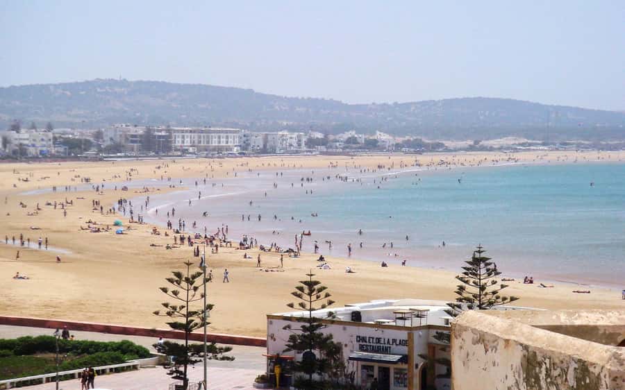 From Marrakesh: Essaouira Day Trip - Moulay Hassan Square and the beach