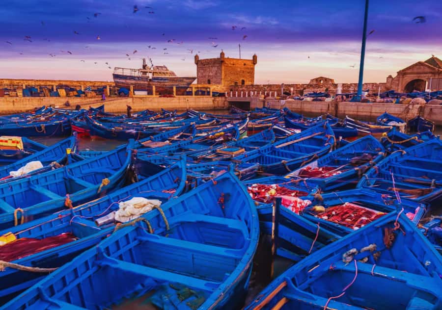 From Marrakesh: Essaouira Full-Day Trip - Why Essaouira makes a smart escape from Marrakesh