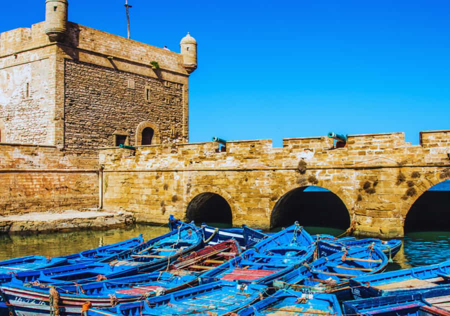 From Marrakesh: Essaouira Full-Day Trip - What happens at the women’s argan oil cooperative