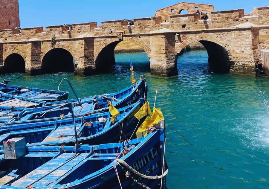 From Marrakesh: Essaouira Full-Day Trip - Exploring the medina without a formal guide