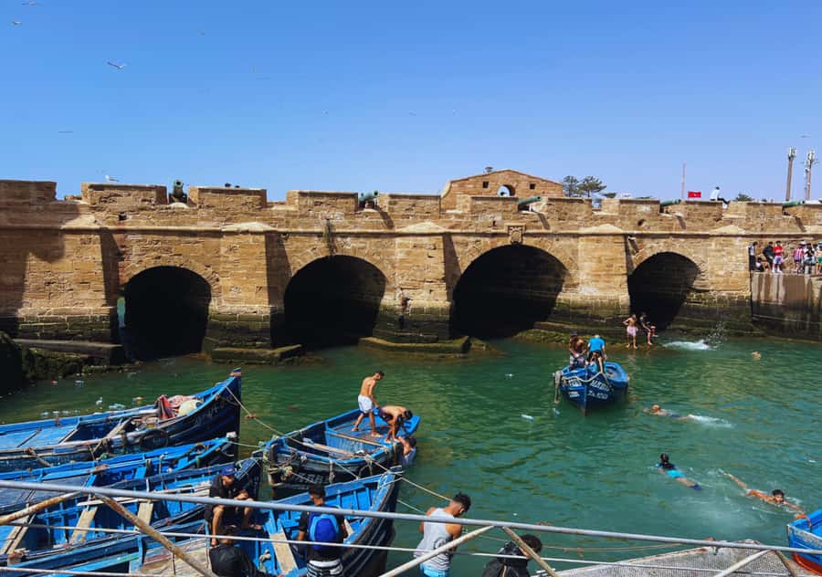 From Marrakesh: Essaouira Full-Day Trip - Five hours for beach time, lunch, and wandering