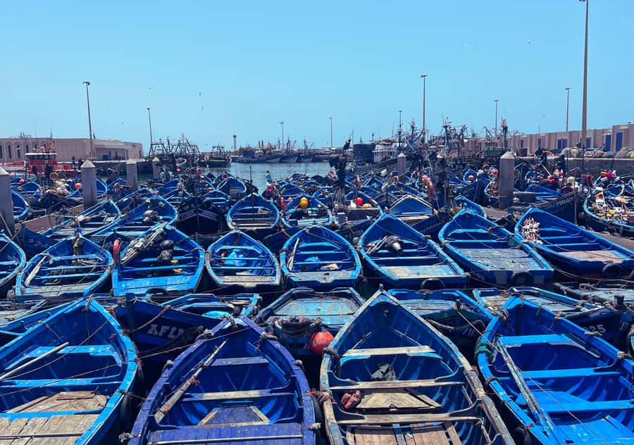 From Marrakesh: Essaouira Full-Day Trip - How good is the value at $20?