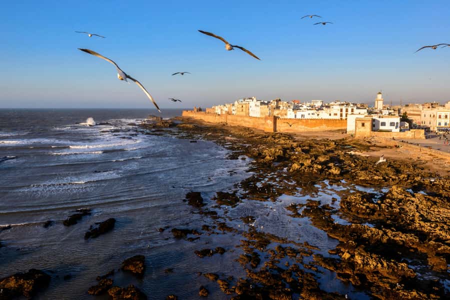 From Marrakesh: Small Group To Essaouira With Opt Activities - Key Points At A Glance