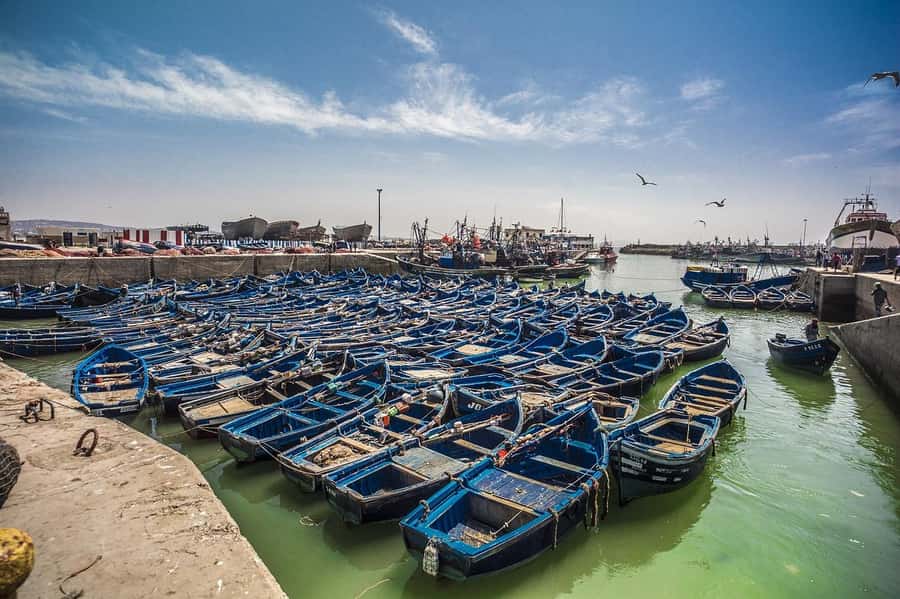From Marrakesh: Small Group To Essaouira With Opt Activities - Why Essaouira Makes A Good Escape From Marrakech