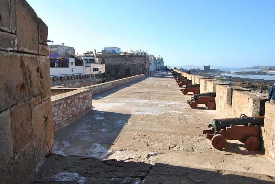 From Marrakesh: Small Group To Essaouira With Opt Activities - Camel, Horse, And Quad Add-Ons