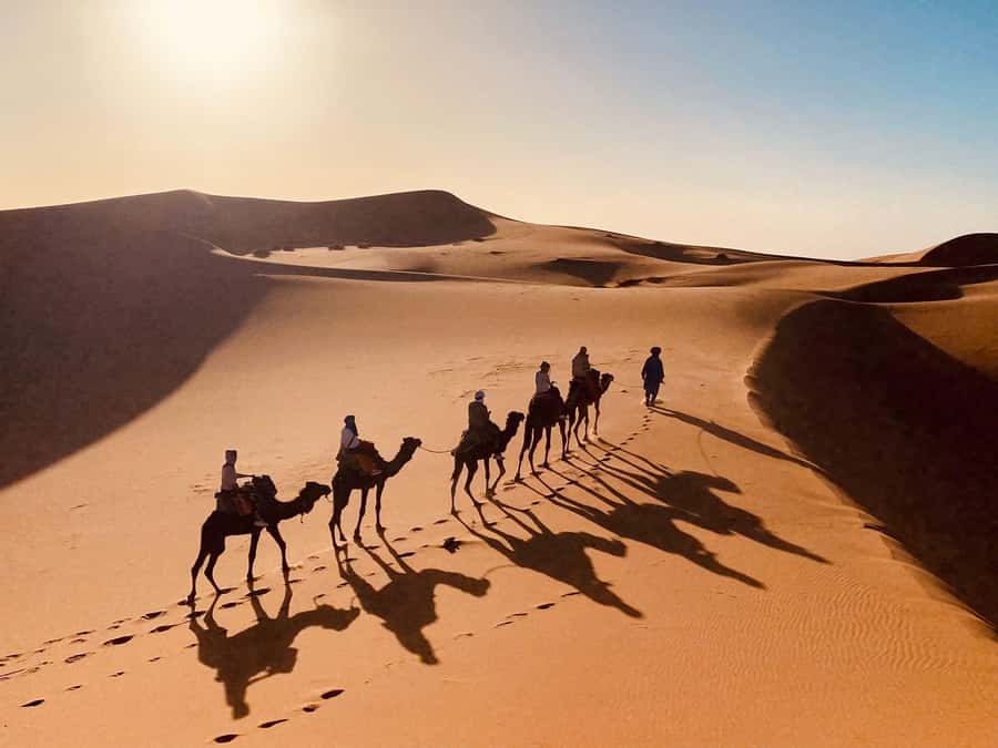 From Merzouga: Overnight Camel Trek over Erg Chebbi Dunes - Sleeping in the Berber camp