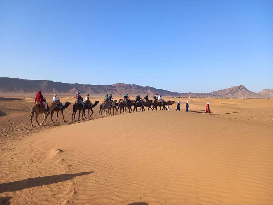 From Ouarzazate: 2-Day Excursion to Zagora Desert - Who will enjoy this desert overnight most