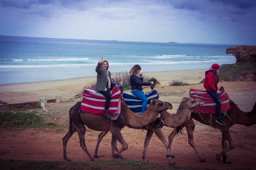 From Seville: Tangier Day Trip with Local Guide and Lunch - Key Points Before You Book