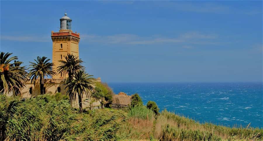 From Seville: Tangier Day Trip with Local Guide and Lunch - Shopping, Free Time, and the Optional Camel Ride