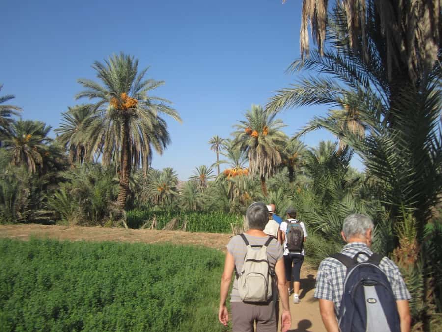 From Taghazout/Agadir: Taroudant and Tiout Day Trip & Tajine - How the timing shapes your experience