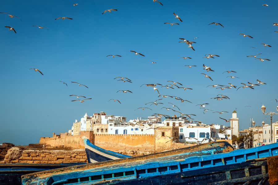From Taghazout: Medina of Essaouira Guided Day Trip - Key points to know before booking