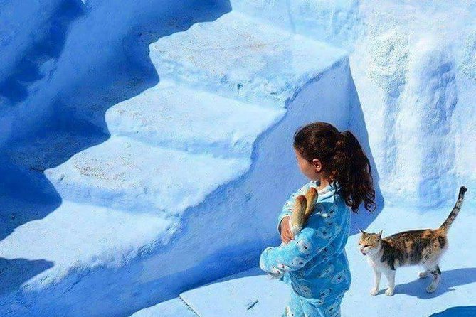From Tangier: Chefchaouen Day Trip with Local Guide - Why Chefchaouen makes a worthwhile day from Tangier