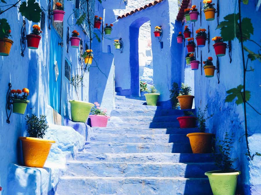 From Tangier: Chefchaouen Guided Full-Day Trip - Key points before you book