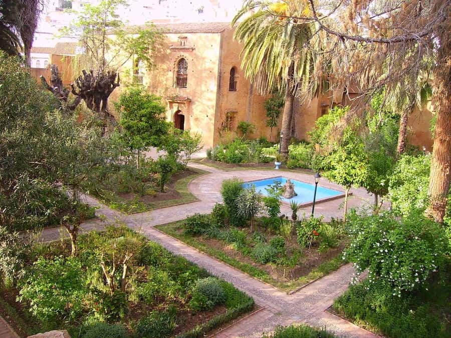 From Tangier: Chefchaouen Guided Full-Day Trip - Plaza Uta el-Hammam and mint tea