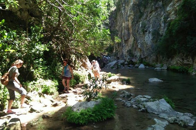 From Tangier: Day Trip to Chefchaouen and Akchour Waterfalls - Lunch and your limited free time