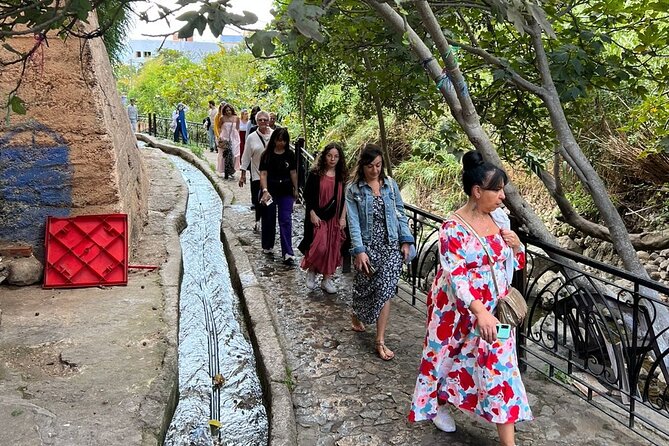 From Tangier: Day Trip to Chefchaouen and Akchour Waterfalls - What the guides add to the experience