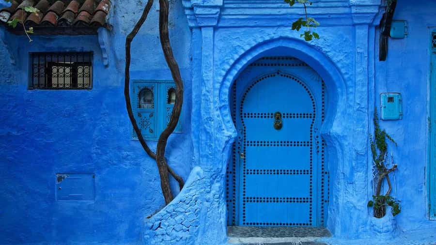 From Tangier: Day Trip to Chefchaouen and Akchour Waterfalls - Is $74 good value?