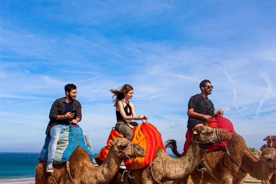 From Tangier: Full-Day Tangier, Asilah, & Cape Spartel Tour - What the $65 price really covers