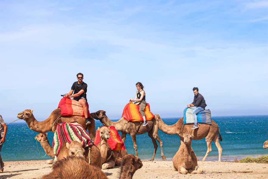 From Tangier: Full-Day Tangier, Asilah, & Cape Spartel Tour - The beach camel ride