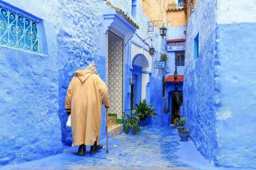 From Tangier: Special Day Trip to Chefchaouen and Tetouan - Should you book it?