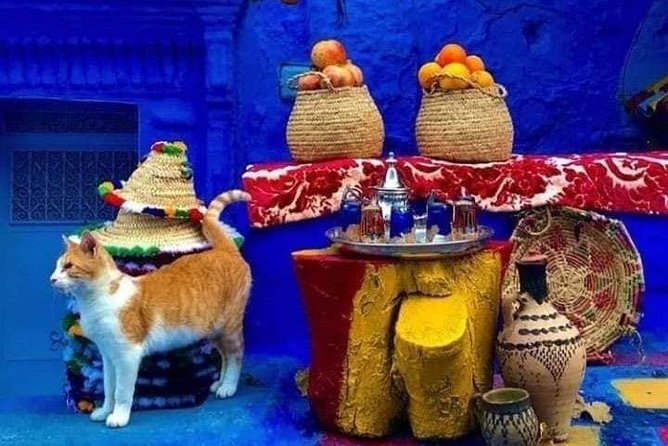From Tangier: Special Day Trip to Chefchaouen and Tetouan - The Rif Mountain drive and the short coffee stop