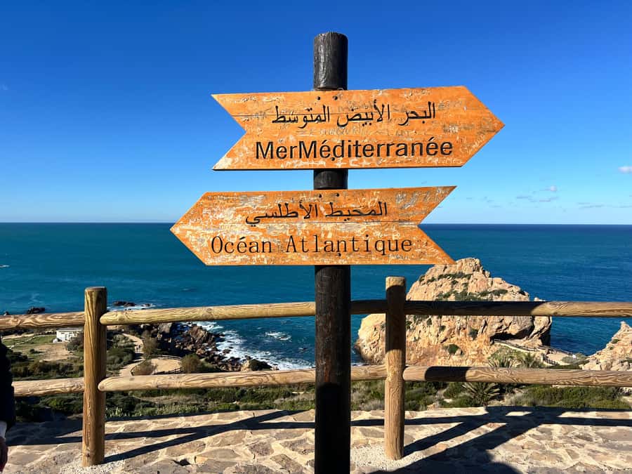 From Tarifa: Tangier Day Trip with Lunch and Ferry - Key points at a glance
