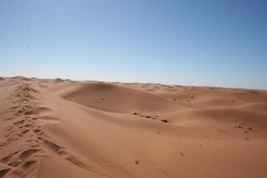 From Zagora: 2-Day Desert Tour to Erg Chegaga - Camel riding at sunset in the Erg Chegaga dunes