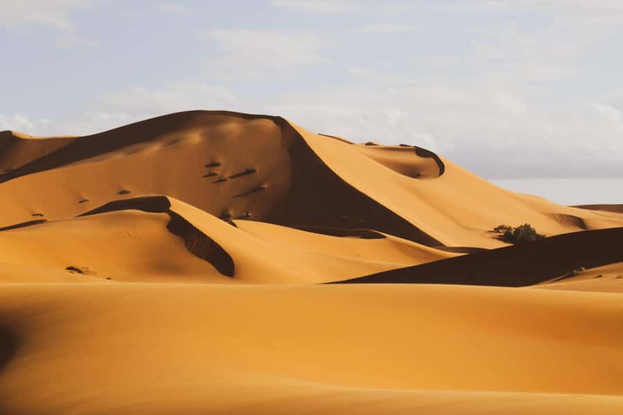 From Zagora: Overnight Desert Tour to Erg Chigaga Camel ride - First sight of the Erg Chigaga dunes