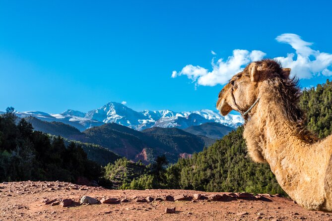 Full Day Berber Villages and Atlas Mountains 4x4 Adventure - Asni, Sidi Fares, and the wider mountain view