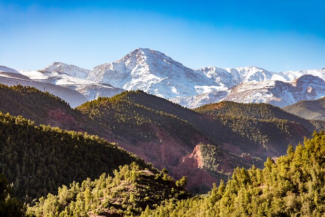 Full Day Berber Villages and Atlas Mountains 4x4 Adventure - My verdict on the Berber Villages and Atlas Mountains 4x4 Adventure