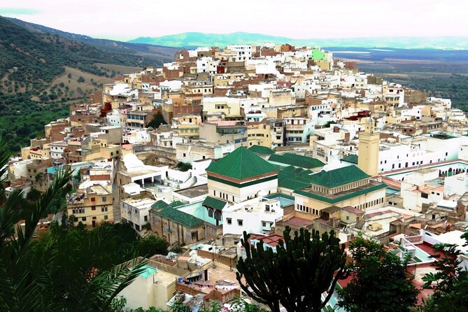 Full-day Historical Meknes Volubilis and Moulay Idriss Tour - Four things to know before you book