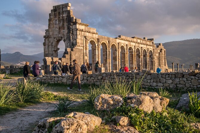 Full-day Historical Meknes Volubilis and Moulay Idriss Tour - Volubilis: the day’s clearest highlight