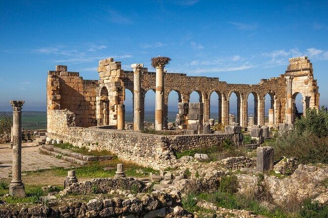 Full-day Historical Meknes Volubilis and Moulay Idriss Tour - Who will get the most from this tour?
