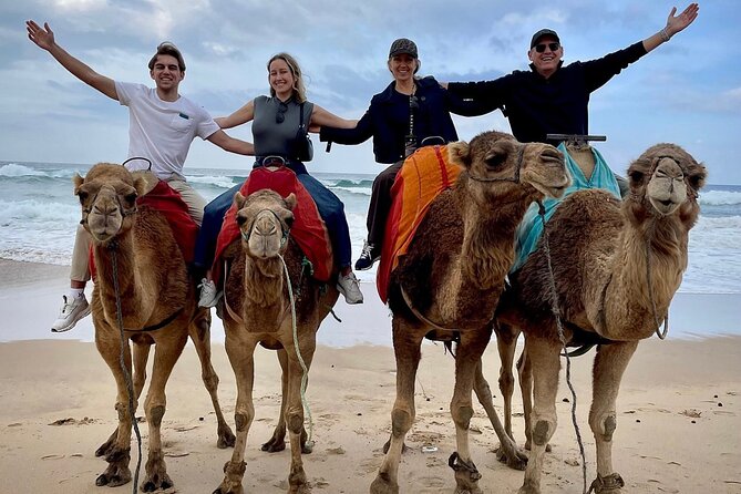 Full-Day Private Guided Tour in Tangier - A big Tangier day, from old walls to Atlantic beaches