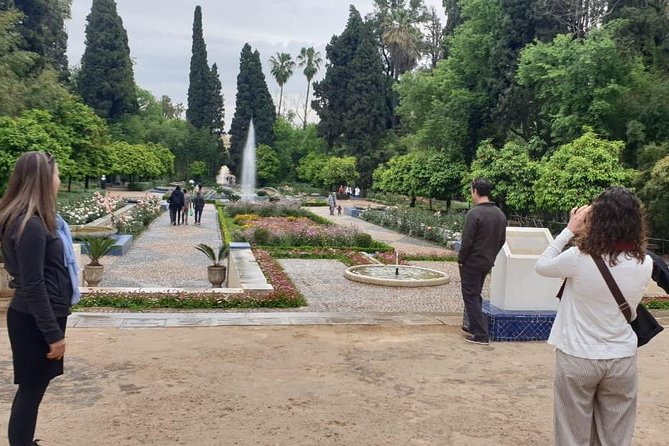 Full-Day Private Tour of Fez - Moulay Idriss II and the Limits of Religious Access