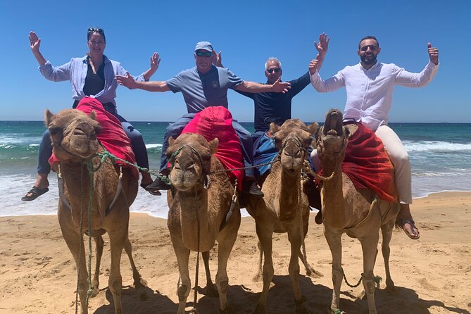 Full Day Private Tour of Tangier - Transport, timing, and comfort