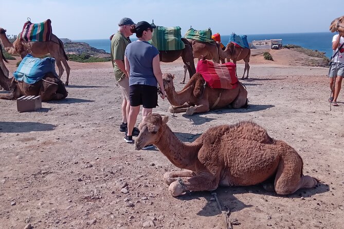 full day private tour of tangier from the cruise ship pick up - Achakar Beach adds a lighthearted camel ride