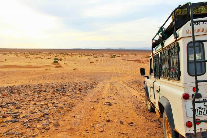 Full-Day Safari Small Desert With Lunch - What the mini Sahara rally feels like