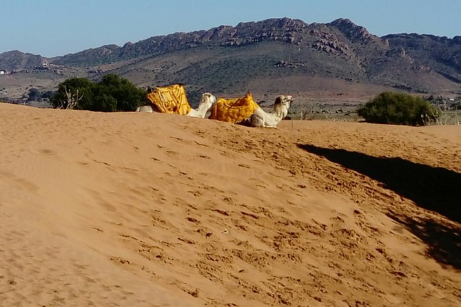 Full-Day Safari Small Desert With Lunch - The road inland and the changing Moroccan countryside
