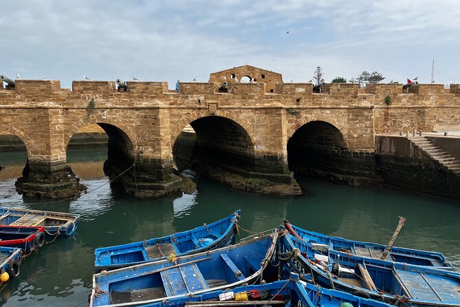 Full Day Tour From Marrakech To Essaouira Mogador - Who should book this Essaouira day trip?