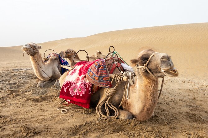 Full Day Tour to Desert Trip in Agadir with Lunch - Sidi R’bat and the fishermen’s caves