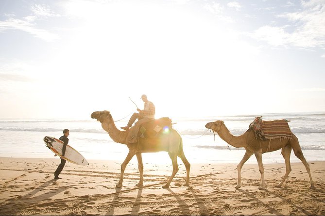 Full-Day Tour to Essaouira - The Ancient Mogador City from Marrakech - Free Time: Seafood, Shops, and Your Own Pace
